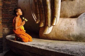 生活禅｜线上课程